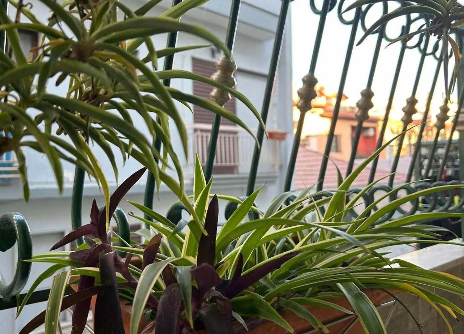 شقة The Makrina Flat سالونيك
